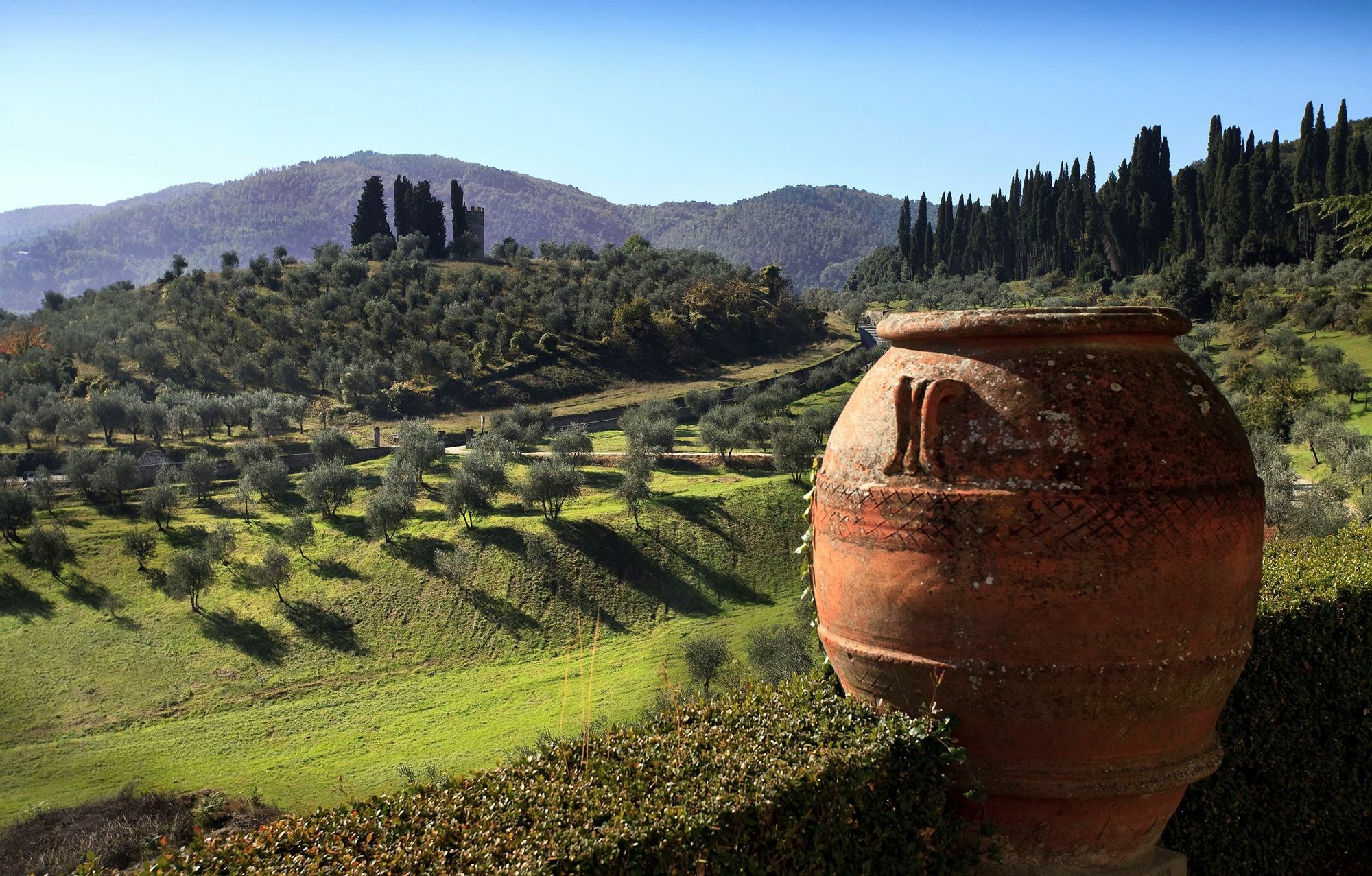 מלון San Donato in Collina Torre A Cona Wine Estate מראה חיצוני תמונה
