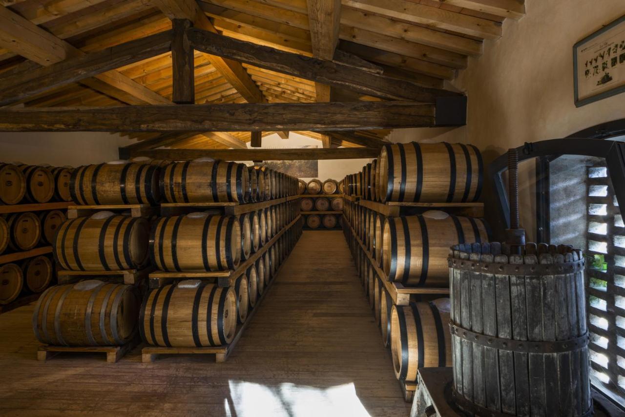 מלון San Donato in Collina Torre A Cona Wine Estate מראה חיצוני תמונה