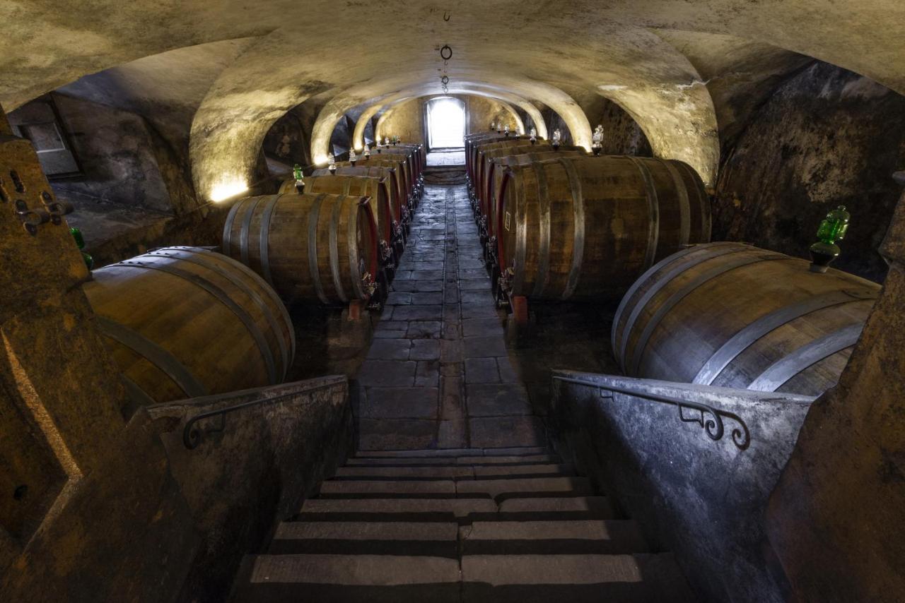 מלון San Donato in Collina Torre A Cona Wine Estate מראה חיצוני תמונה